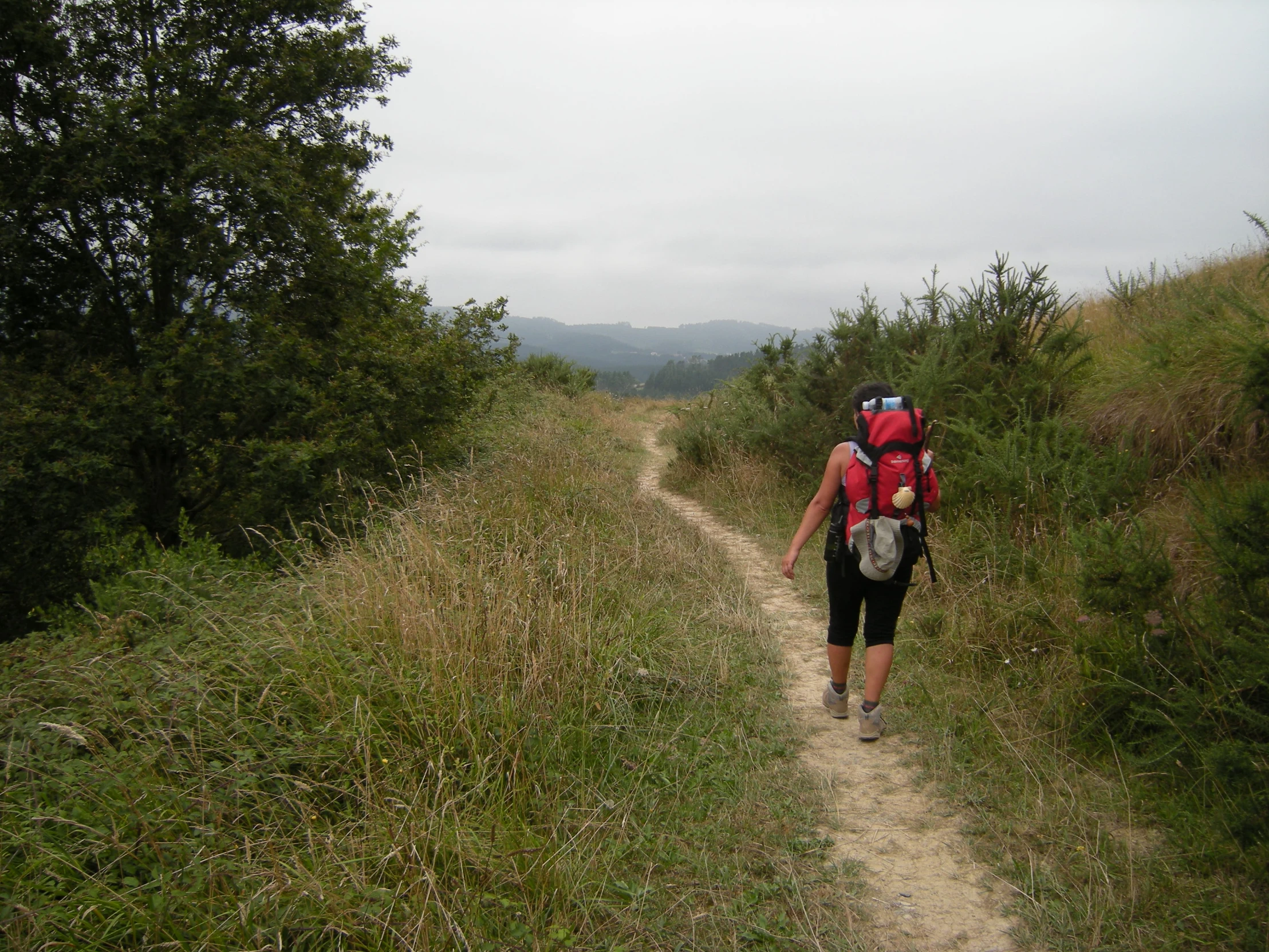 a person is walking through the brush wearing a red backpack