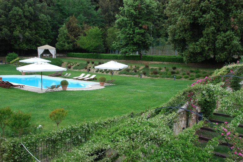 an aerial view of a pool and lawn in a garden