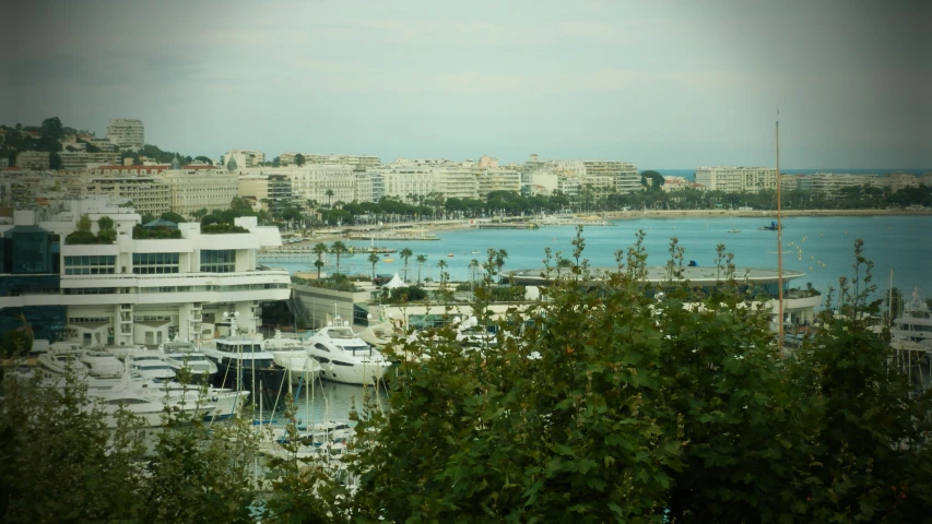 a marina with boats docked in it next to buildings