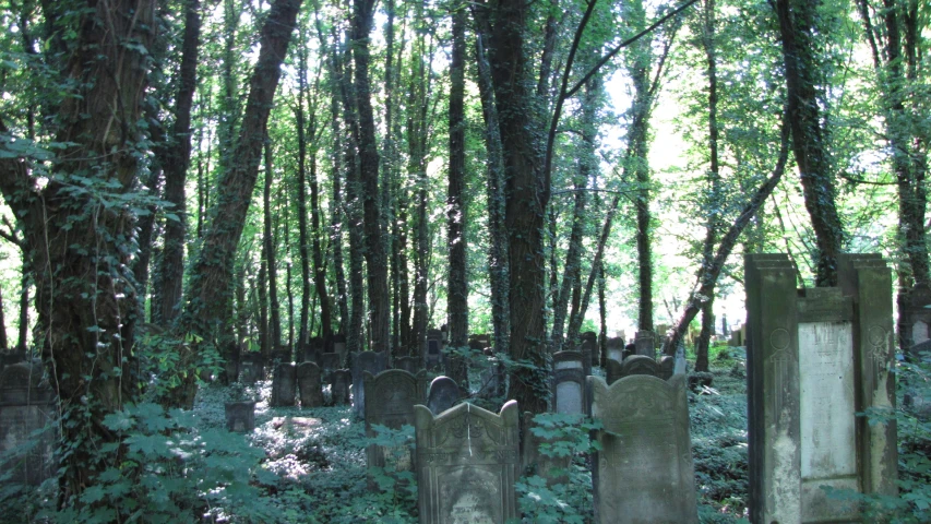 some very old headstones sitting in the middle of a woods