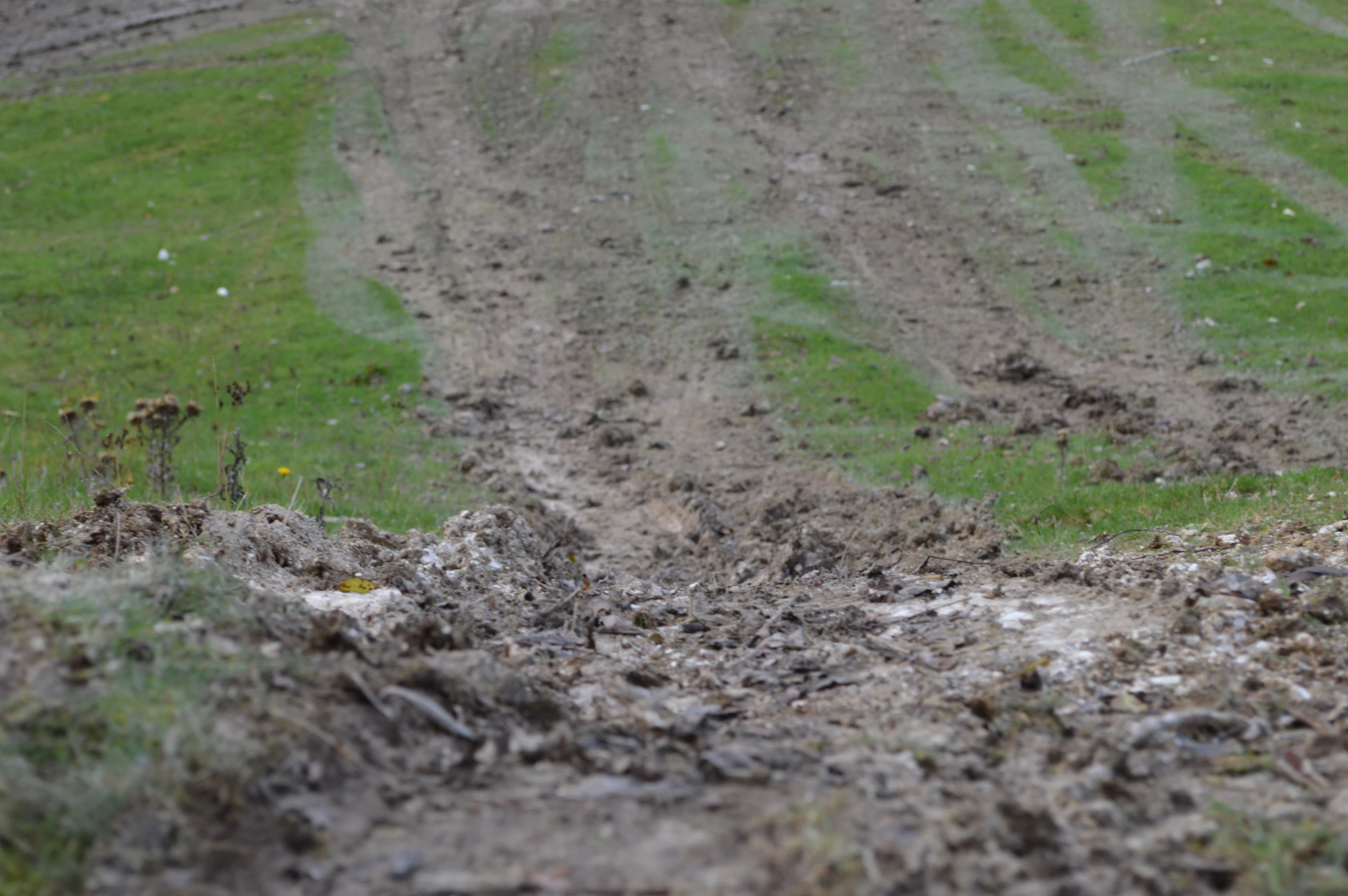 a red and white stop sign on a muddy dirt road