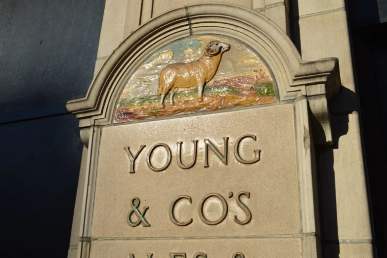 a sign with an animal on it reads young and cos