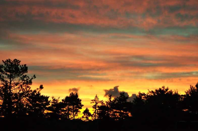 silhouettes of trees against the sky with colorful clouds