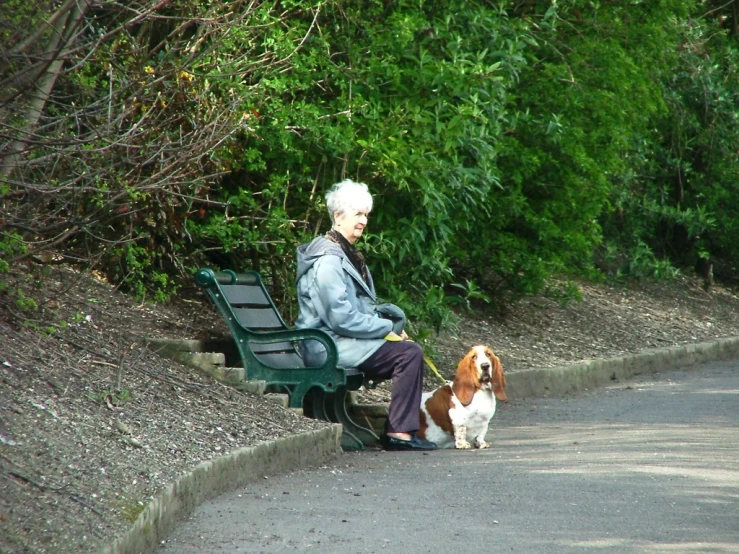 a older man sitting on a green park bench next to a dog