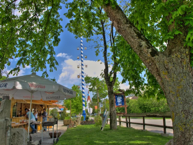 a large tree with many nches beside a building and a street