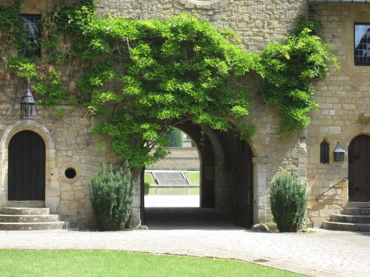 an open walkway between two large, stone buildings with vines growing on them