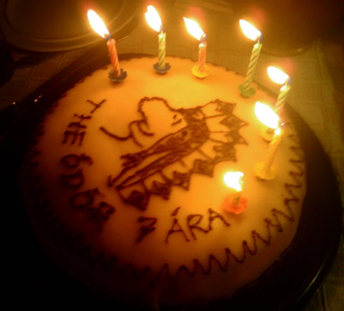 a round cake with lit candles sits on a plate