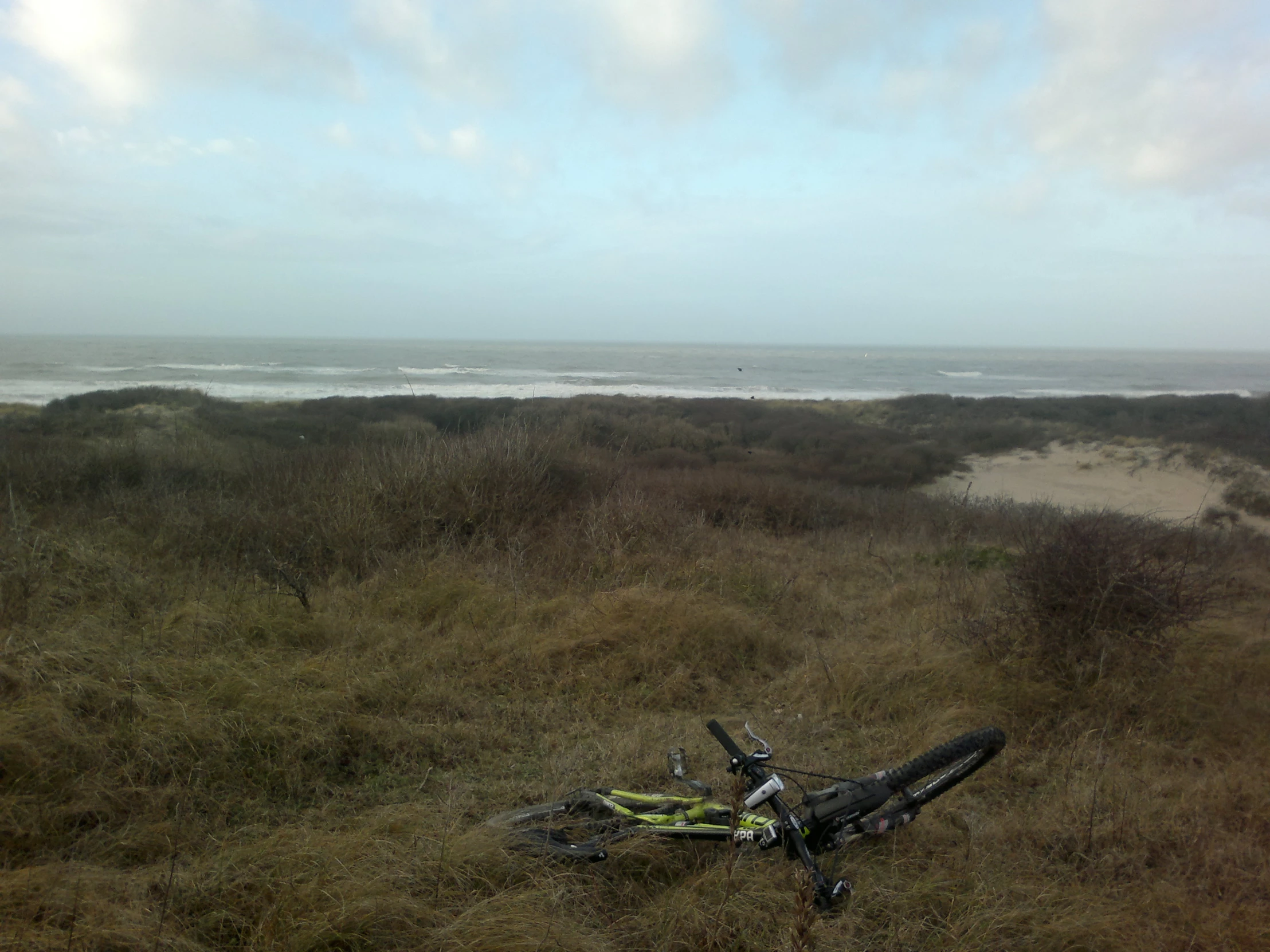 there is a broken bicycle in the field next to a beach