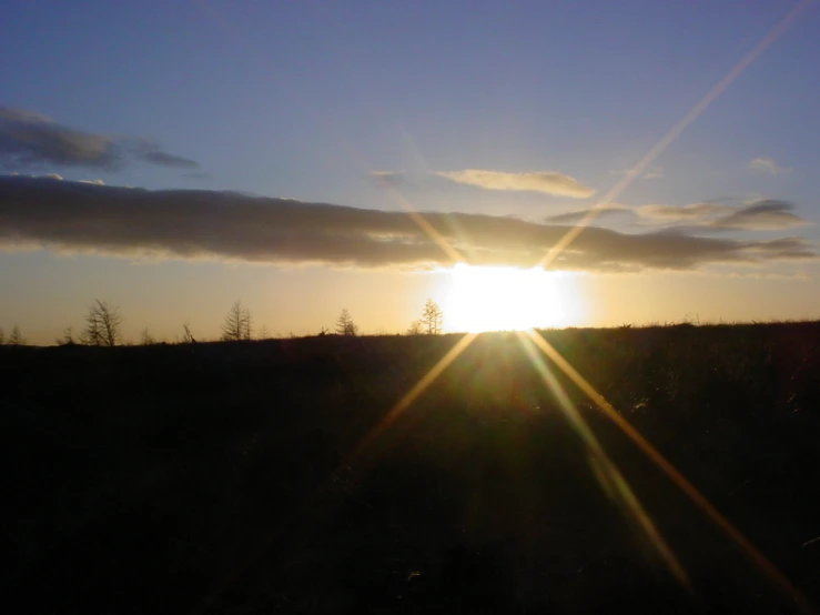 the sun shining brightly behind trees on a hill