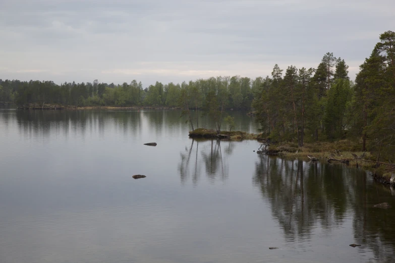 a large body of water with trees and rocks