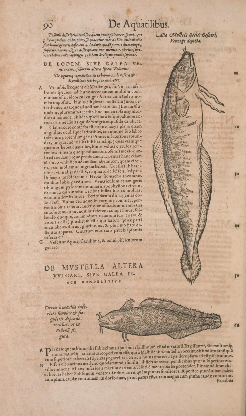 an old book with an illustrated diagram and a sea animal