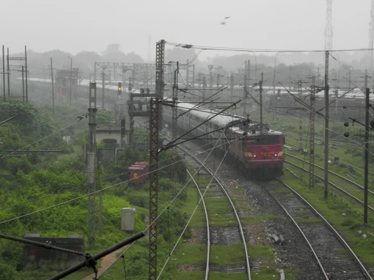 a train travels along the tracks near some electrical wires