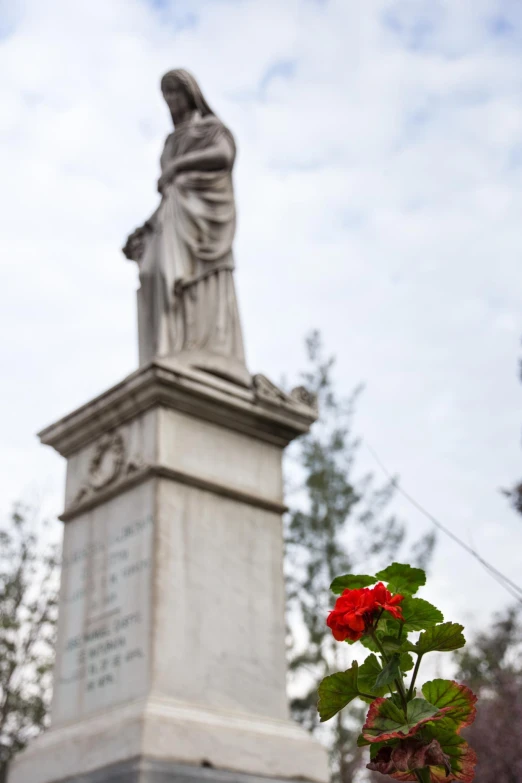 the flowers in the pot are by the statue