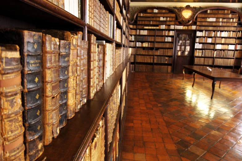 a room full of books with a bench on the floor