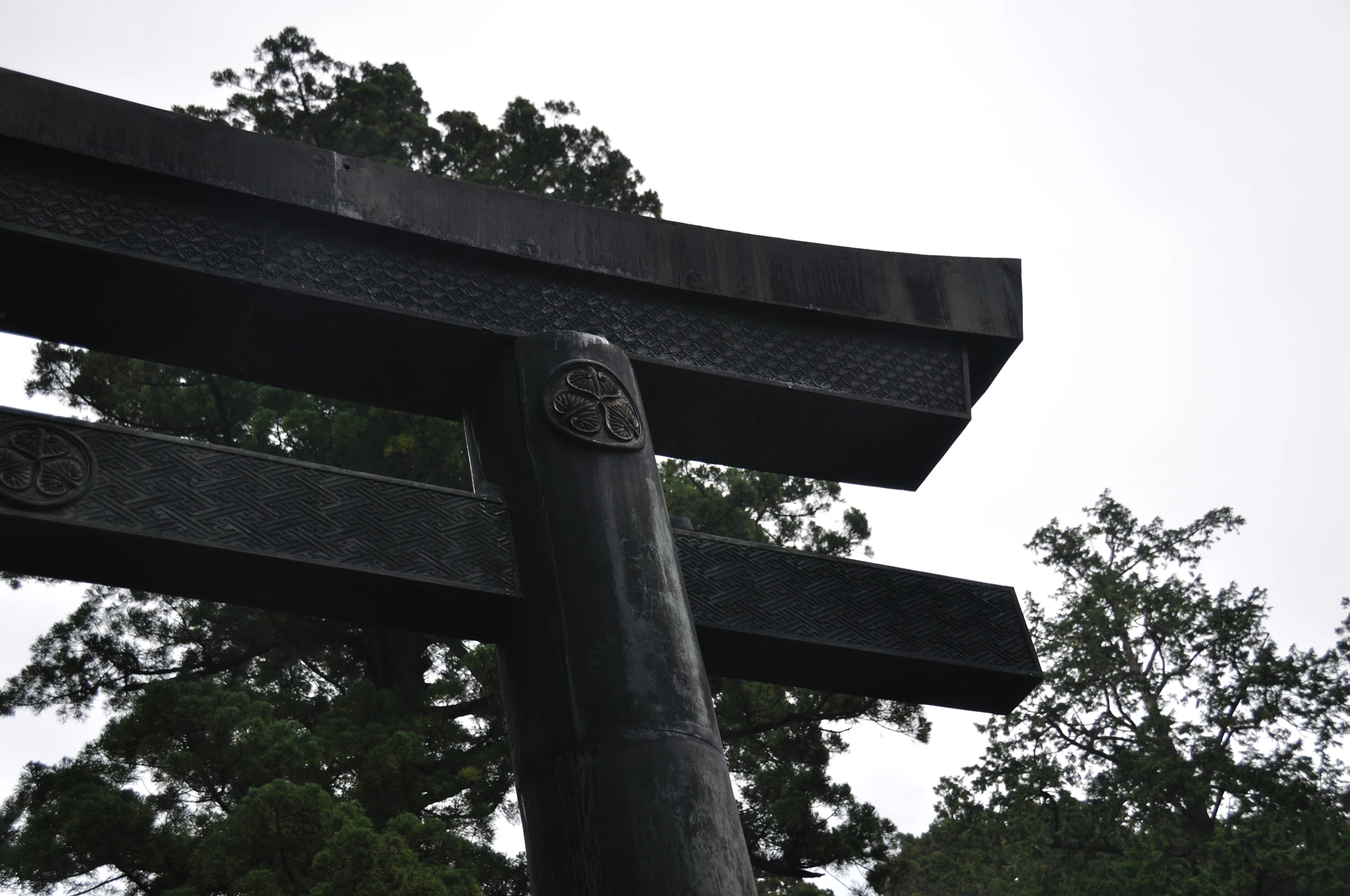 an image of a tree sign in the park