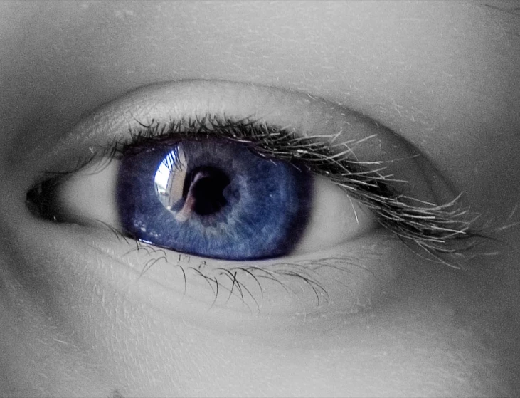 a close up of a person's blue eye