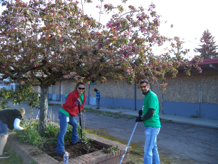 a couple of men tending to a tree with a wheelbarrow