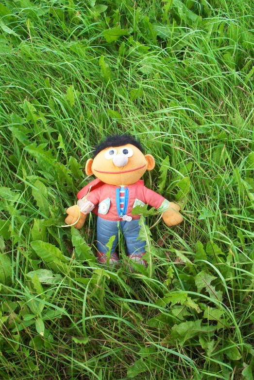 an overhead s of a stuffed monkey in the grass