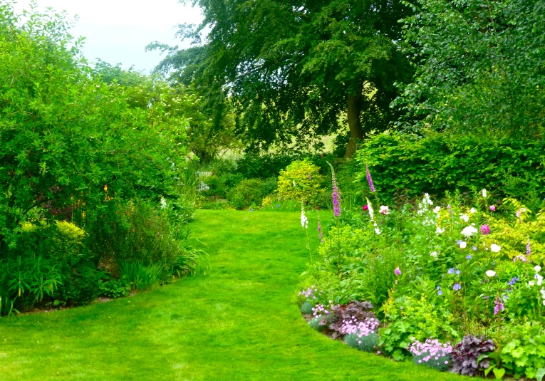 a grassy path through flowers and trees in the garden