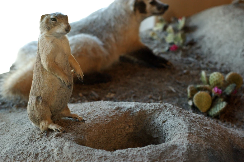 a small toy standing on top of a pile of sand