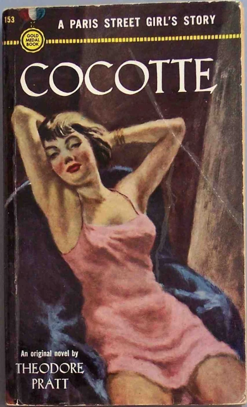 a book on the cover of the paris street girls story