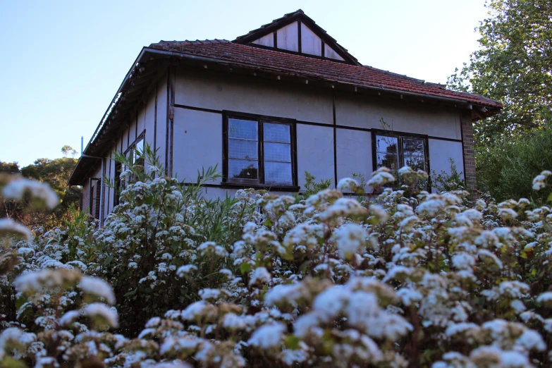 the house has a brown roof and many white flowers