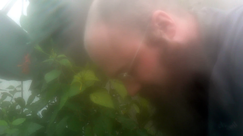 a man kissing a plant with its nose near the ground
