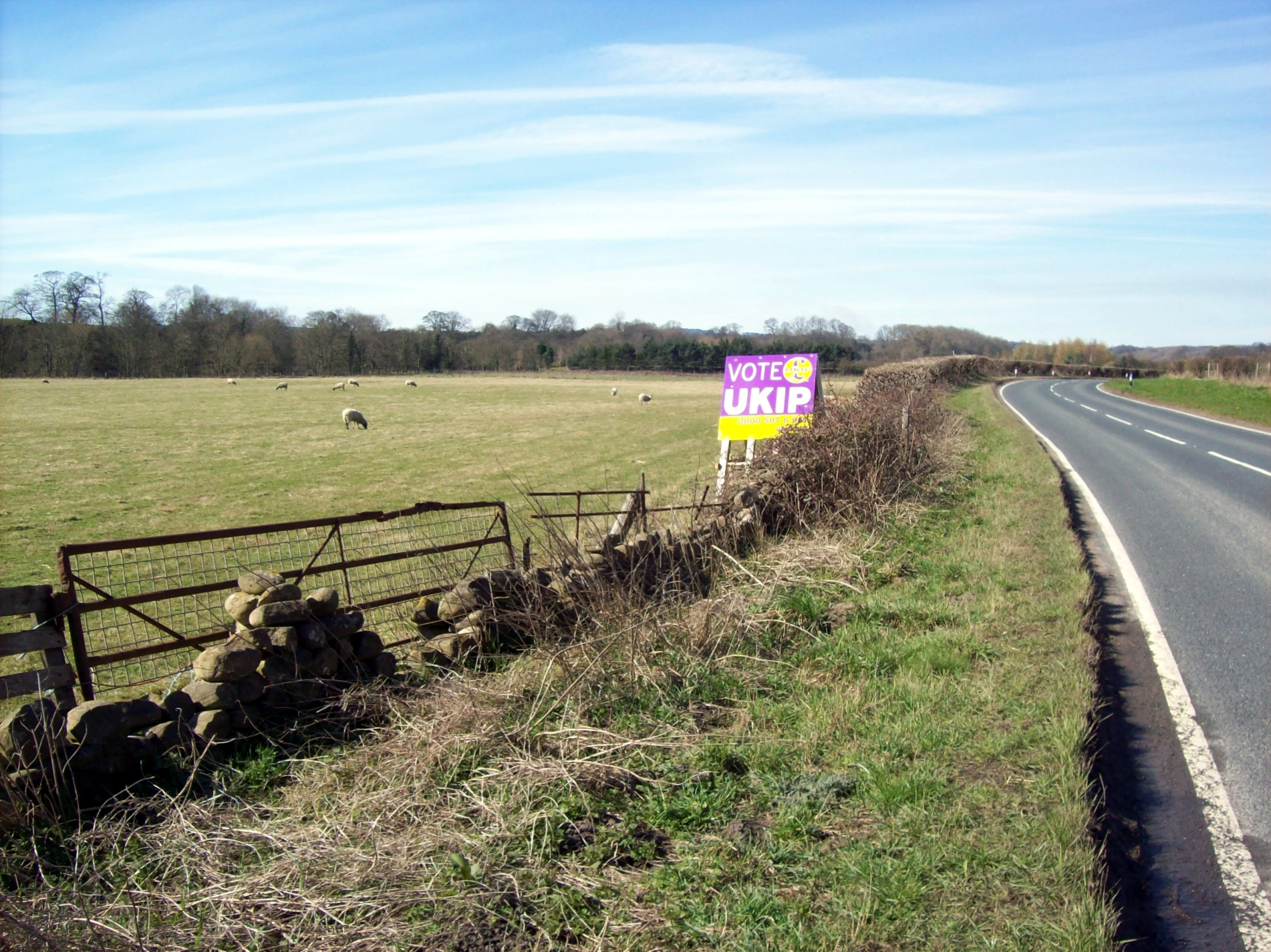 a rural country road and rural farm land with sheep grazing