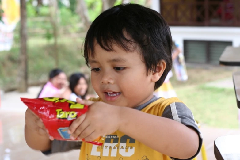 a little boy holds a bag of dogs