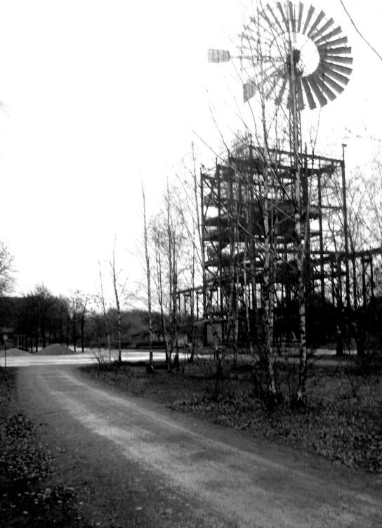 there are many trees on the other side of a tower