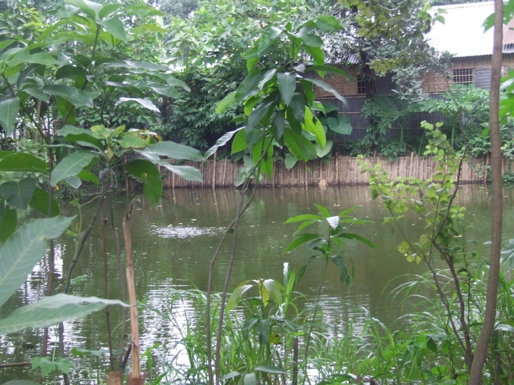 a house that is by some water in the woods