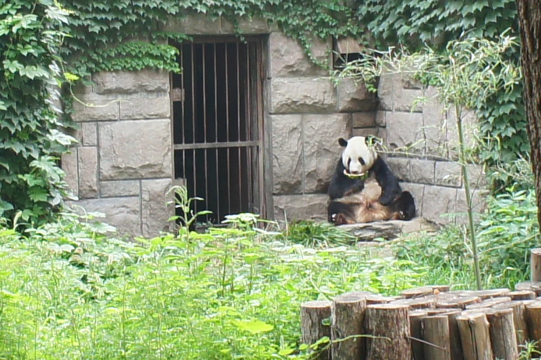 a panda bear behind an entrance to a zoo