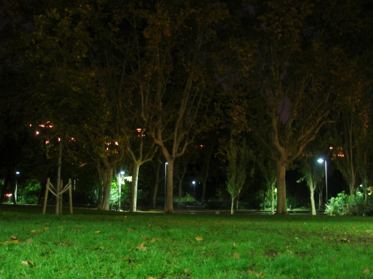 a park filled with lush green grass next to trees