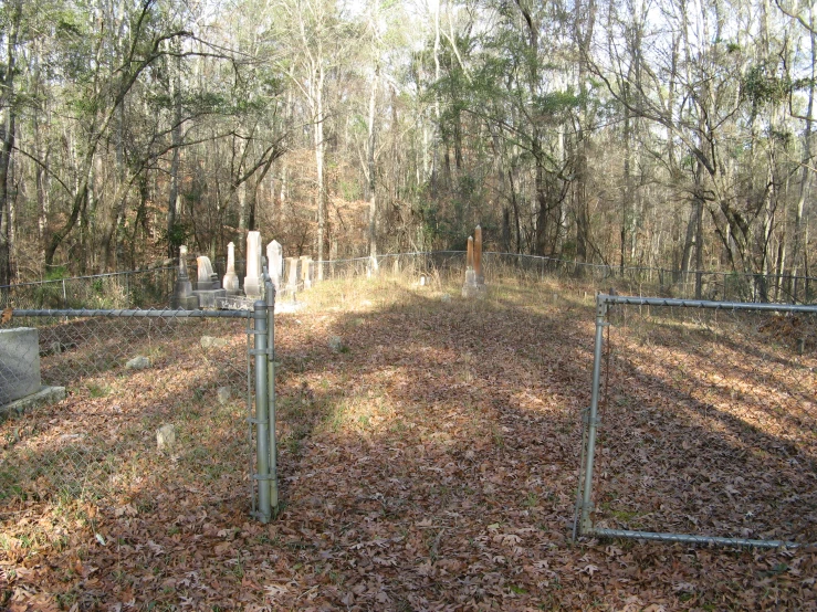 a cemetery in the woods near trees