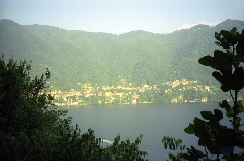 the trees are beside of the water and houses