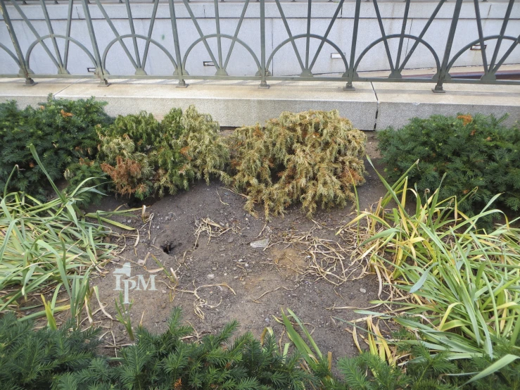 a bench in the middle of a garden next to a planter