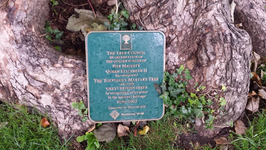 a blue plaque is attached to a tree