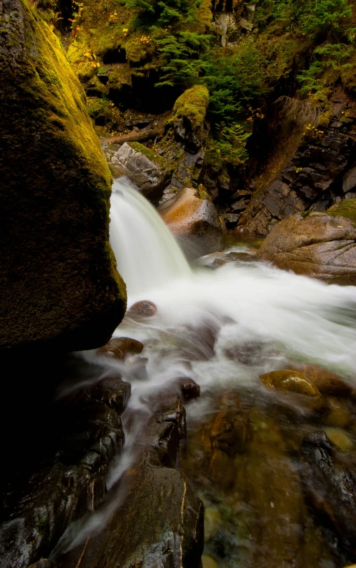 a small waterfall running past a forest filled with lots of trees