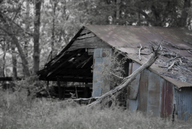 an old, dilapidated building in the woods