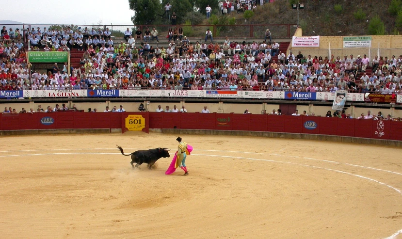 a dog with its master in a bullfight in front of an audience