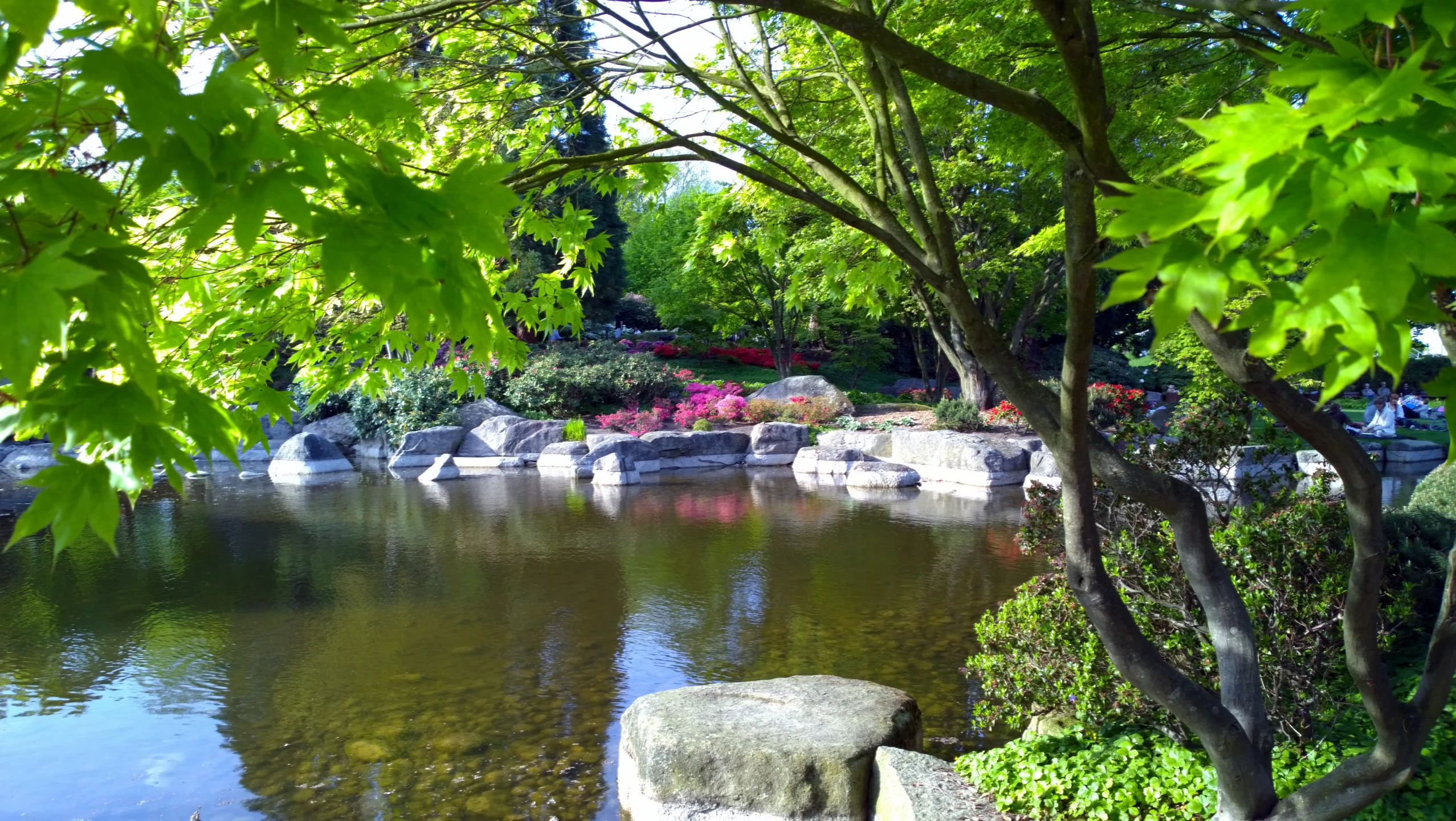 a garden pond sits in the middle of the grass