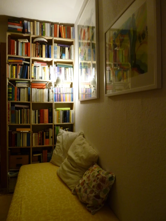 the room is decorated with several book shelves