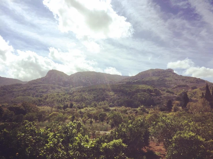 the green and the mountains all covered in trees