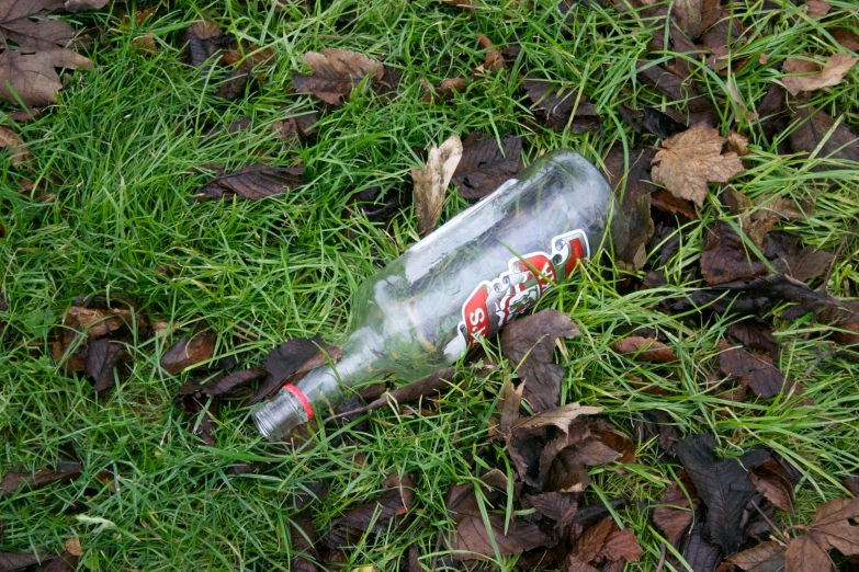 a pepsi bottle lies in the grass outside