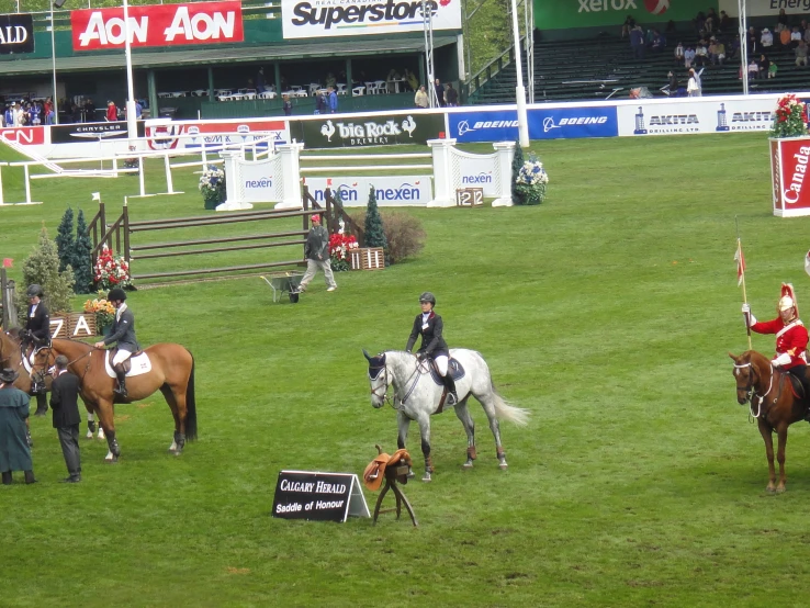 jockeys and horses on the green turf during a competition