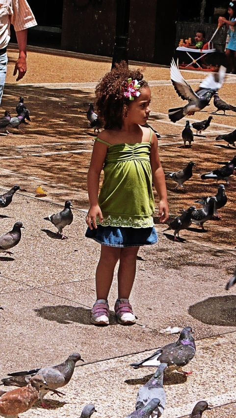 a little girl standing in a lot full of pigeons