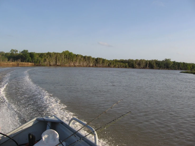 the water behind the boat has a line of trees in it