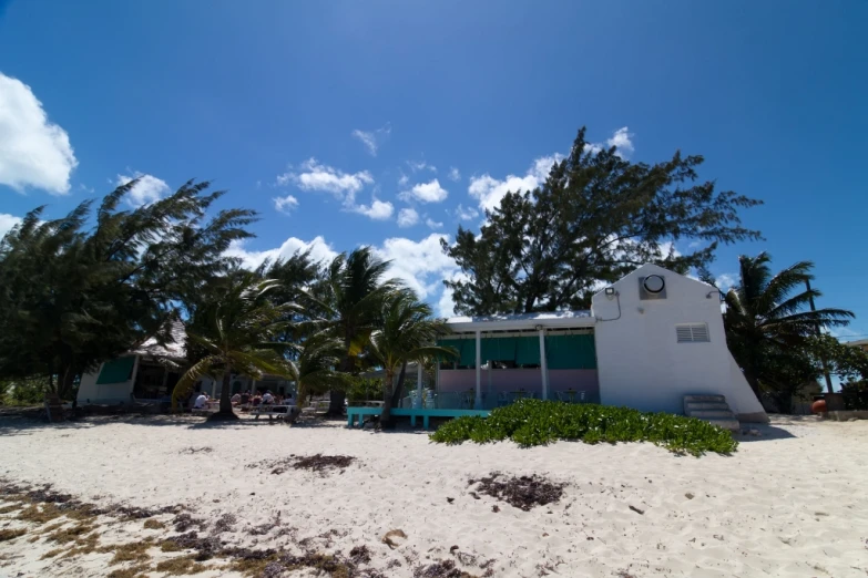 a white building with palm trees near it