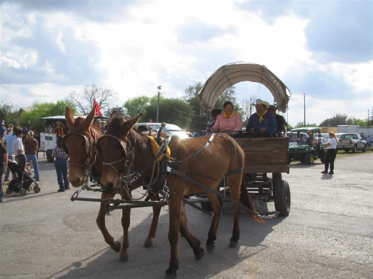 horse drawn carriage with two people in harness