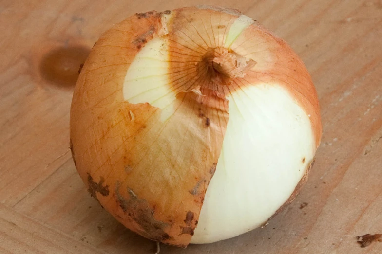 an onion on the table is almost eaten